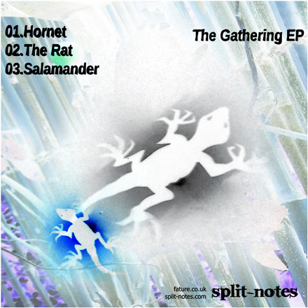 The Gathering EP by Fature, reverse cover